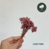 Light Pink