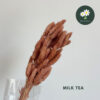 Milk Tea