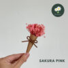Sakura Pink