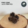 Pine cone Per Pcs