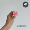 Light Pink
