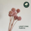 Light Pink Purple