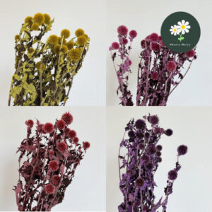 Preserved Eryngium Amethyst Sapphire Blue Sea Holly Dried Flowers Bouquet Plant 蓝刺芹蓝星球情人果