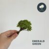 Emerald Green
