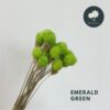 Emerald Green