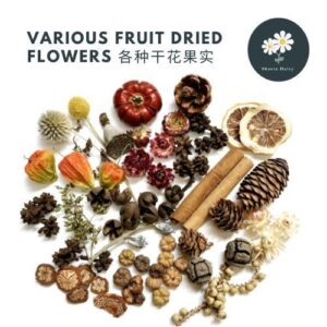 Various Fruit Dried Flowers Christmas Fruit Decorations Dried Flowers Dried Fruit Plant Fruit DIY 各种果实类干花 圣诞果实类装饰品干花干果植物