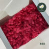 Red 红色
