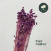 Pink Purple