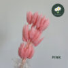Pink 粉色