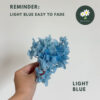 Light Blue (Easyfade