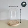 D:15cm x H:21cm