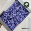 Lavendar