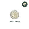 Milky White