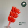 Orange Red