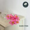 Dark Pink