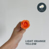 Light Orange Yellow