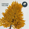 Vintage Yellow