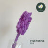 Pink Purple 粉紫