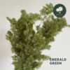Emerald Green