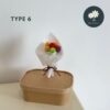 Type 6