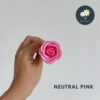 Neutral Pink
