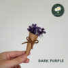 Dark Purple