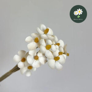Handmade Dried Violet 手工干花紫罗兰 Lawson de Parterre (10Pcs Per Pack)