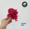 China Red