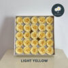 Light Yellow