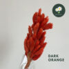 Dark Orange