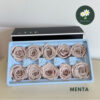 Menta