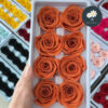 Vintage Orange