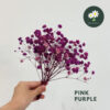 Pink Purple