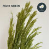 Fruit Green