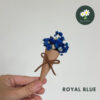 Royal Blue
