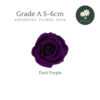 Dark Purple