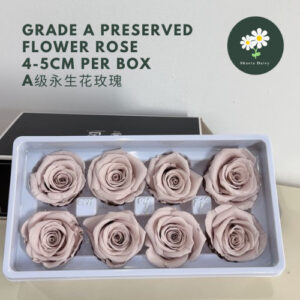 GRADE A Preserved Flower Rose 4-5cm Per BOX A级永生花玫瑰