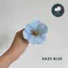 Haze Blue