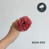 Bean Red