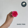 Dark Pink