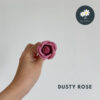 Dusty Rose