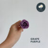 Grape Purple