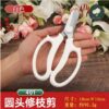 White 白色