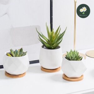 Simple Succulent Pot with Ceramic Tray Flower Pot Container 多肉植物多肉陶瓷托盘 花盆容器 (附送托盘）