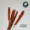 Vintage Orange
