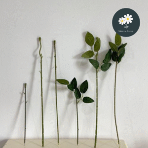 Artificial Rose Stems Rose Stems Without Leaves /With Leaves Soap Flower Stems 仿真玫瑰花杆无叶/带叶 香皂花杆叶