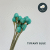 Tiffany Blue
