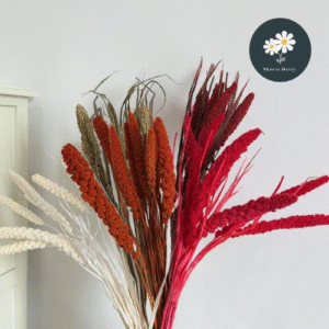 Dried Millet Flower Bouquet Rustic INS Style Home Decoration Ornament DIY Photography Props 小米穗干花花束插花田园文艺ins家居装饰摆件拍照道具