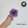 2pcs Taro Purple