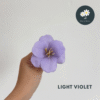 3pcs Light Violet